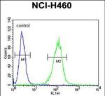 COQ9 Antibody in Flow Cytometry (Flow)