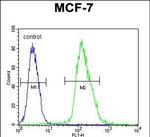 MFAP4 Antibody in Flow Cytometry (Flow)