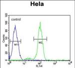 PTPLB Antibody in Flow Cytometry (Flow)