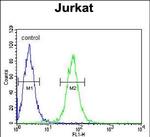 HVCN1 Antibody in Flow Cytometry (Flow)