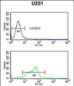 MAGT1 Antibody in Flow Cytometry (Flow)