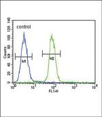 S100B Antibody in Flow Cytometry (Flow)