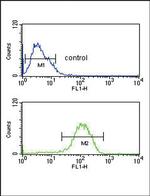 PYY Antibody in Flow Cytometry (Flow)