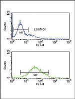 ZFYVE16 Antibody in Flow Cytometry (Flow)