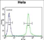 CMPK2 Antibody in Flow Cytometry (Flow)