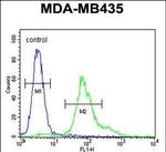 ERO1LB Antibody in Flow Cytometry (Flow)