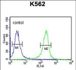 MTMR15 Antibody in Flow Cytometry (Flow)