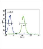 NPFF Antibody in Flow Cytometry (Flow)