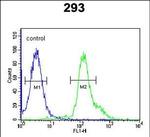 RSPO2 Antibody in Flow Cytometry (Flow)