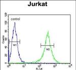 GNE Antibody in Flow Cytometry (Flow)