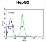 HMGA2 Antibody in Flow Cytometry (Flow)