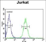 AXIN2 Antibody in Flow Cytometry (Flow)