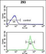 ATP11C Antibody in Flow Cytometry (Flow)