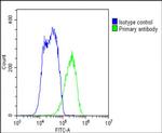 NTCP Antibody in Flow Cytometry (Flow)