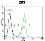 GAL Antibody in Flow Cytometry (Flow)