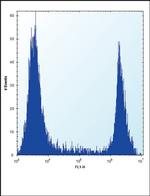 HPRT1 Antibody in Flow Cytometry (Flow)