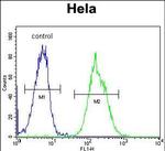 EB1 Antibody in Flow Cytometry (Flow)