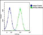 IL-1 alpha Antibody in Flow Cytometry (Flow)