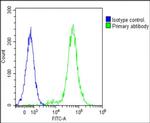 IL-1 alpha Antibody in Flow Cytometry (Flow)