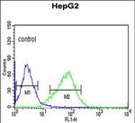 OR2H2 Antibody in Flow Cytometry (Flow)