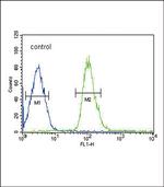 DUSP2 Antibody in Flow Cytometry (Flow)