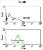 TNFRSF14 Antibody in Flow Cytometry (Flow)