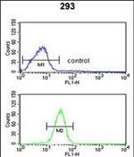 GCLM Antibody in Flow Cytometry (Flow)