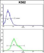 FLIP Antibody in Flow Cytometry (Flow)