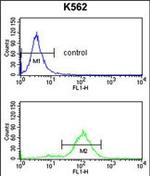 APOBEC3F Antibody in Flow Cytometry (Flow)