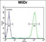 PEX2 Antibody in Flow Cytometry (Flow)