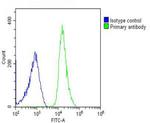 Cdc73 Antibody in Flow Cytometry (Flow)