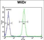 ASIC2 Antibody in Flow Cytometry (Flow)