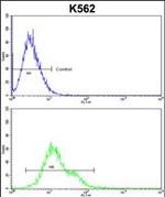 PLCB2 Antibody in Flow Cytometry (Flow)