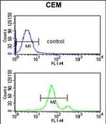 ASIC1 Antibody in Flow Cytometry (Flow)