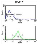 SNRPD3 Antibody in Flow Cytometry (Flow)