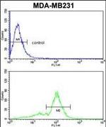 VEGF Receptor 1 Antibody in Flow Cytometry (Flow)