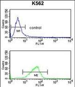 CXXC4 Antibody in Flow Cytometry (Flow)