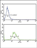 EXT2 Antibody in Flow Cytometry (Flow)