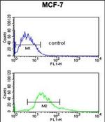 Cytokeratin 1 Antibody in Flow Cytometry (Flow)