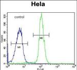 ADPRHL2 Antibody in Flow Cytometry (Flow)