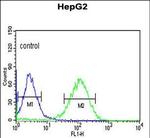 ZNF202 Antibody in Flow Cytometry (Flow)