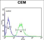 Carbonic Anhydrase VI Antibody in Flow Cytometry (Flow)