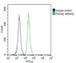 PLA2G7 Antibody in Flow Cytometry (Flow)