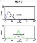 AIM2 Antibody in Flow Cytometry (Flow)