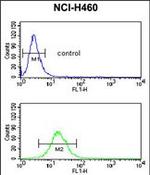 NEDD4 Antibody in Flow Cytometry (Flow)