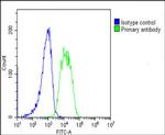 AMH Antibody in Flow Cytometry (Flow)