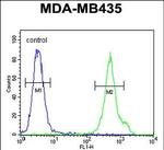 CD1e Antibody in Flow Cytometry (Flow)