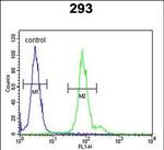 ID4 Antibody in Flow Cytometry (Flow)