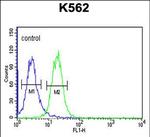 RHBG Antibody in Flow Cytometry (Flow)