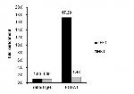 FOXA1 Antibody in ChIP Assay (ChIP)